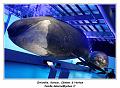 IMG_9898_RD