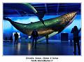 IMG_9899_RD