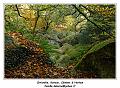 IMG_1378_RD