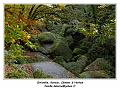 IMG_1380_RD