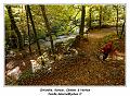 IMG_1381_RD