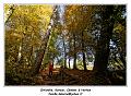 IMG_1382_RD