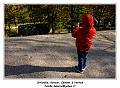 IMG_1384_RD