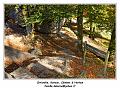 IMG_1386_RD