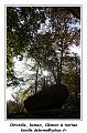 IMG_1391_RD