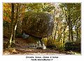 IMG_1392_RD