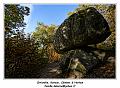 IMG_1395_RD