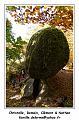 IMG_1398_RD