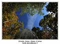 IMG_1402_RD