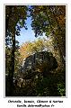 IMG_1403_RD