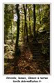 IMG_1410_RD