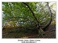 IMG_1421_RD