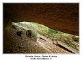 IMG_1423_RD