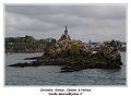 IMG_0342_RD