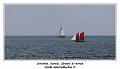 IMG_0359_RD