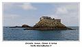 IMG_0382_RD