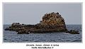 IMG_0408_RD