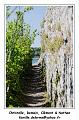 IMG_0497_RD
