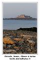 IMG_0175_RD
