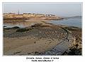 IMG_0189_RD