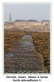 IMG_0201_RD
