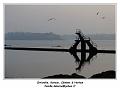 IMG_0214_RD
