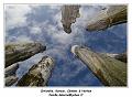 IMG_0458_RD