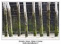 IMG_0459_RD