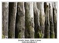 IMG_0461_RD