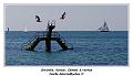 IMG_0521_RD