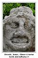 IMG_0560_RD
