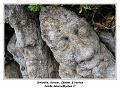 IMG_0561_RD