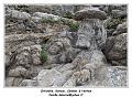 IMG_0571_RD