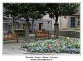 IMG_0232_RD