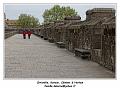 IMG_0239_RD