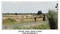 DSC07179_RD