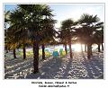 DSC07188_RD