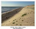 DSC07229_RD