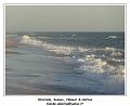 DSC07247_RD