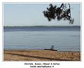 DSC07318_RD