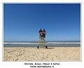 DSC07357_RD
