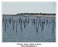 DSC07381_RD