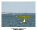 DSC07382_RD