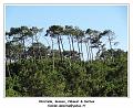 DSC07405_RD