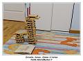 IMG_3538_RD