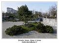 IMG_3584_RD