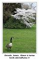IMG_0160_RD
