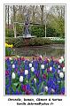 IMG_3990_RD