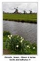 IMG_4102_RD