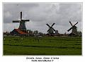 IMG_4103_RD